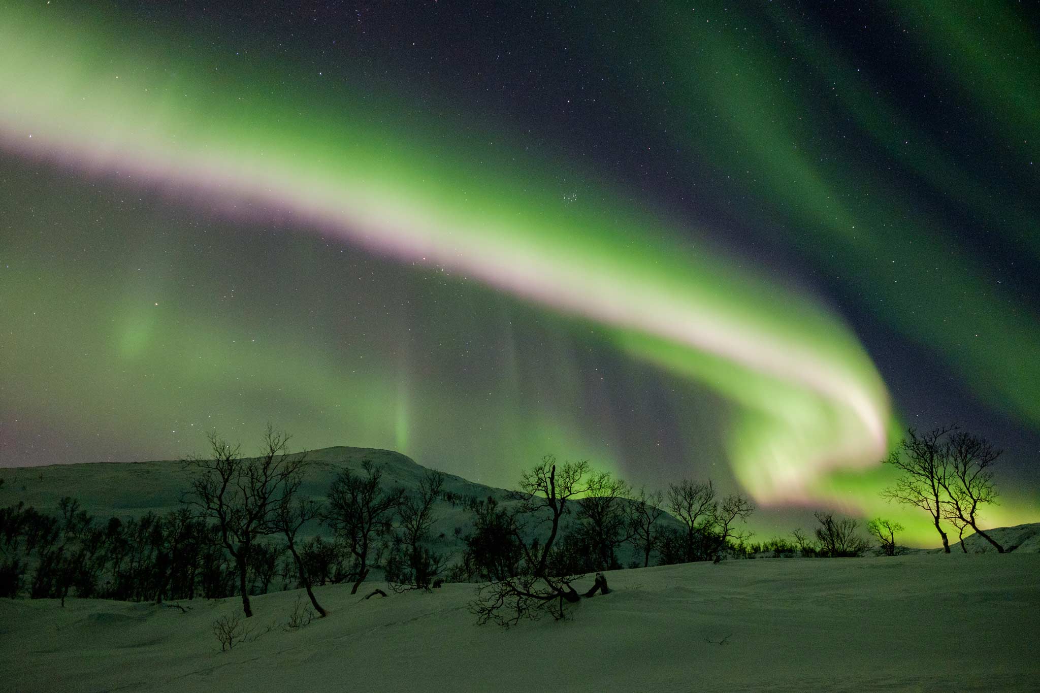Polarlicht über Tromsø